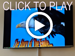 Eagle Story PLAY Eagle Story PLAY